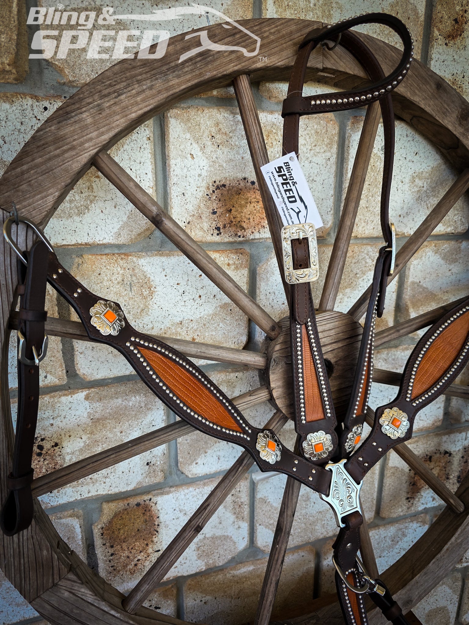 Burnt Orange Croc Inlay Tack Set