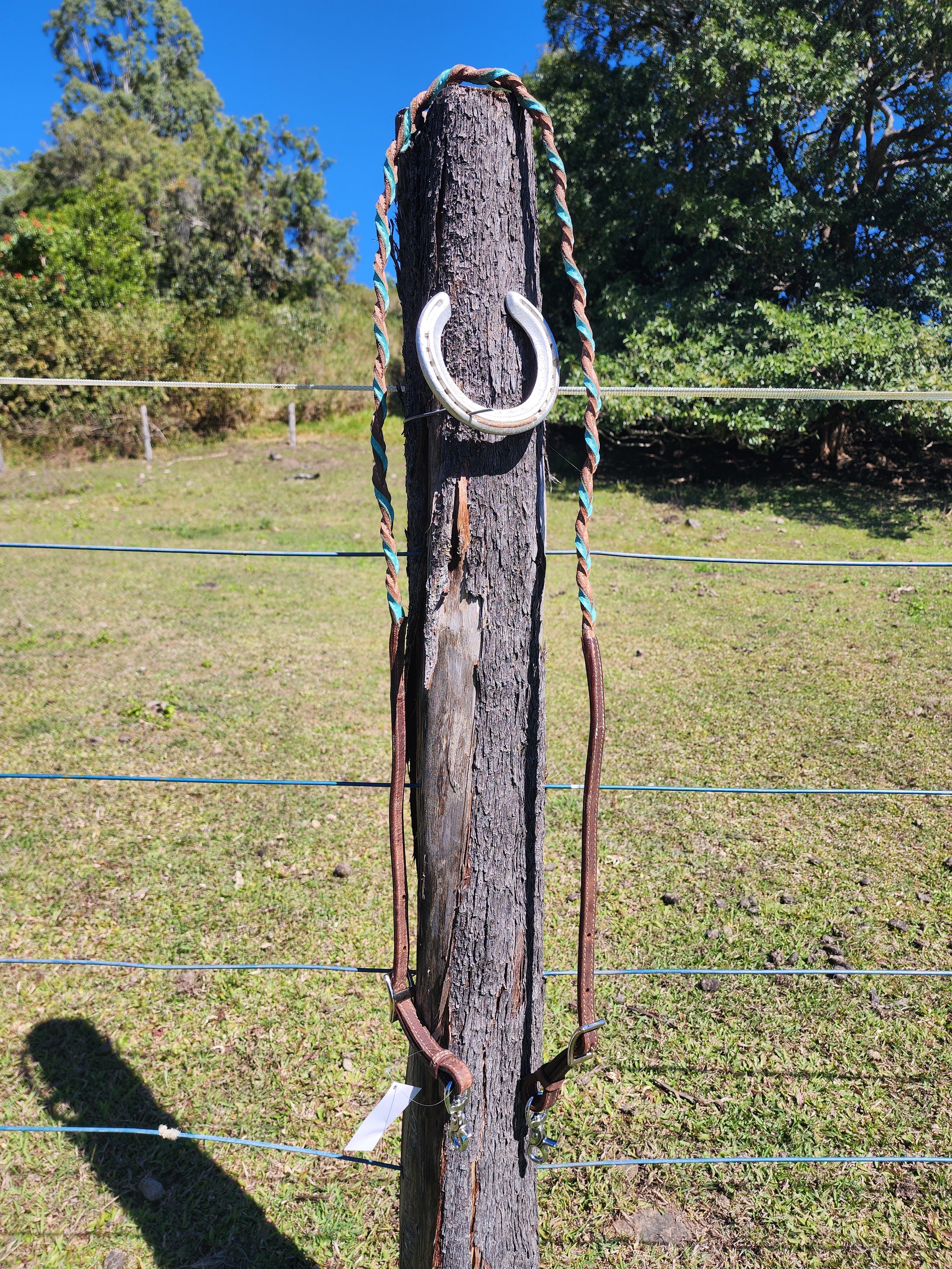 Twisted Bloodknot Barrel Reins - Turquoise