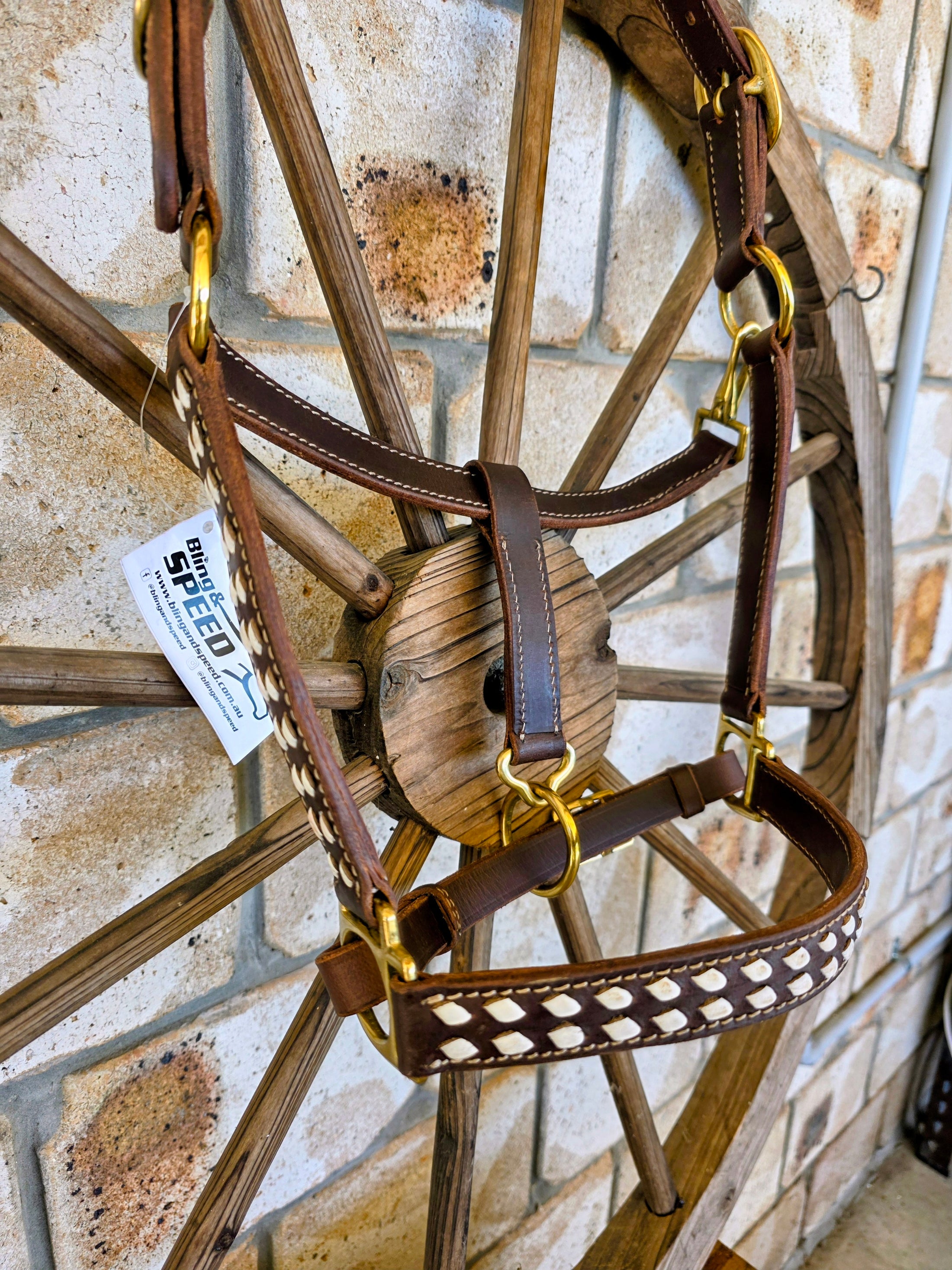 White Buckstitch Leather Halter