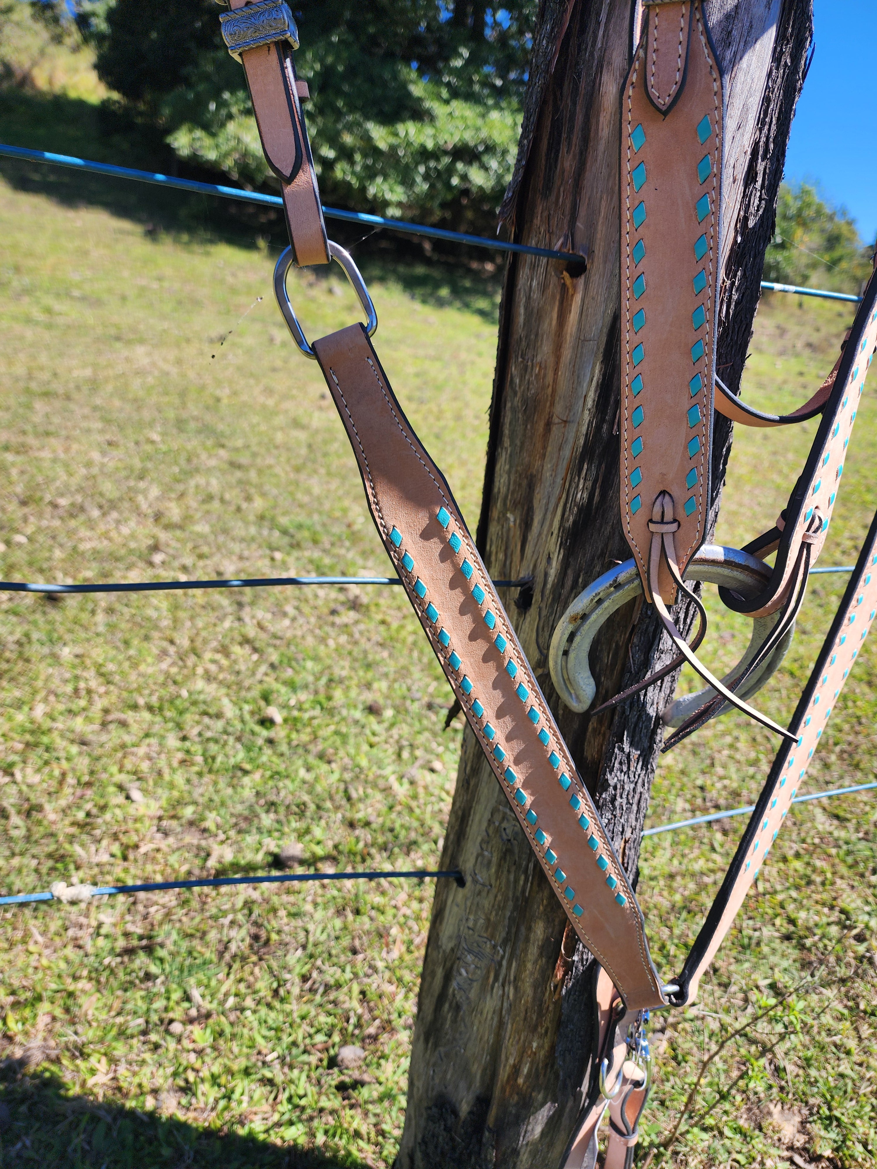 Trophy Tack Sets - Buckstitching