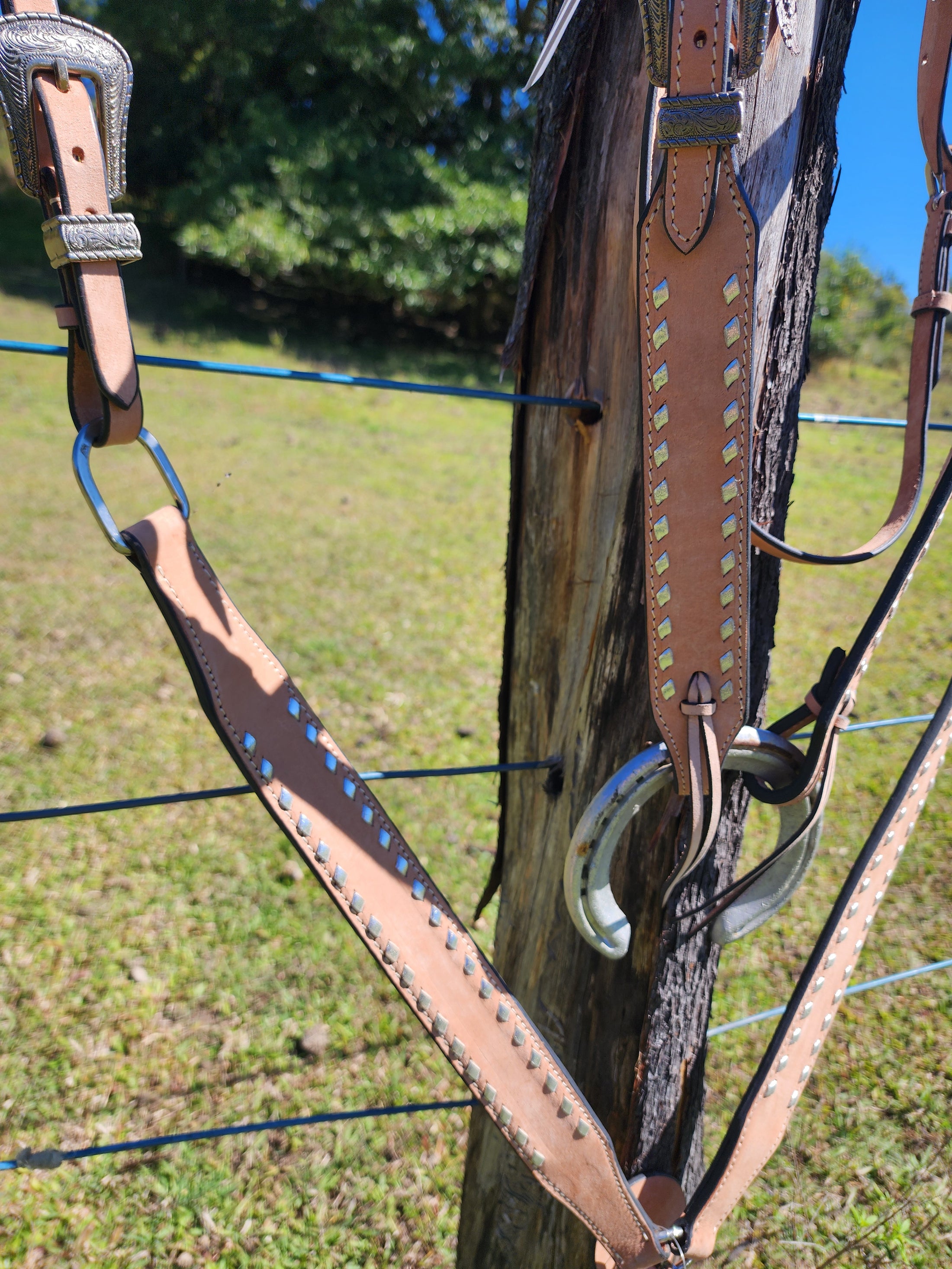 Trophy Tack Sets - Buckstitching