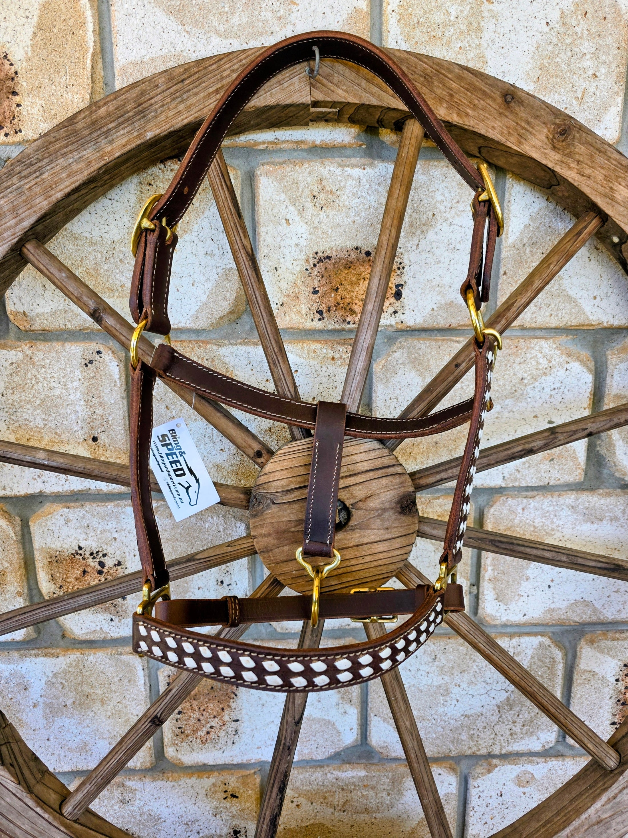 White Buckstitch Leather Halter