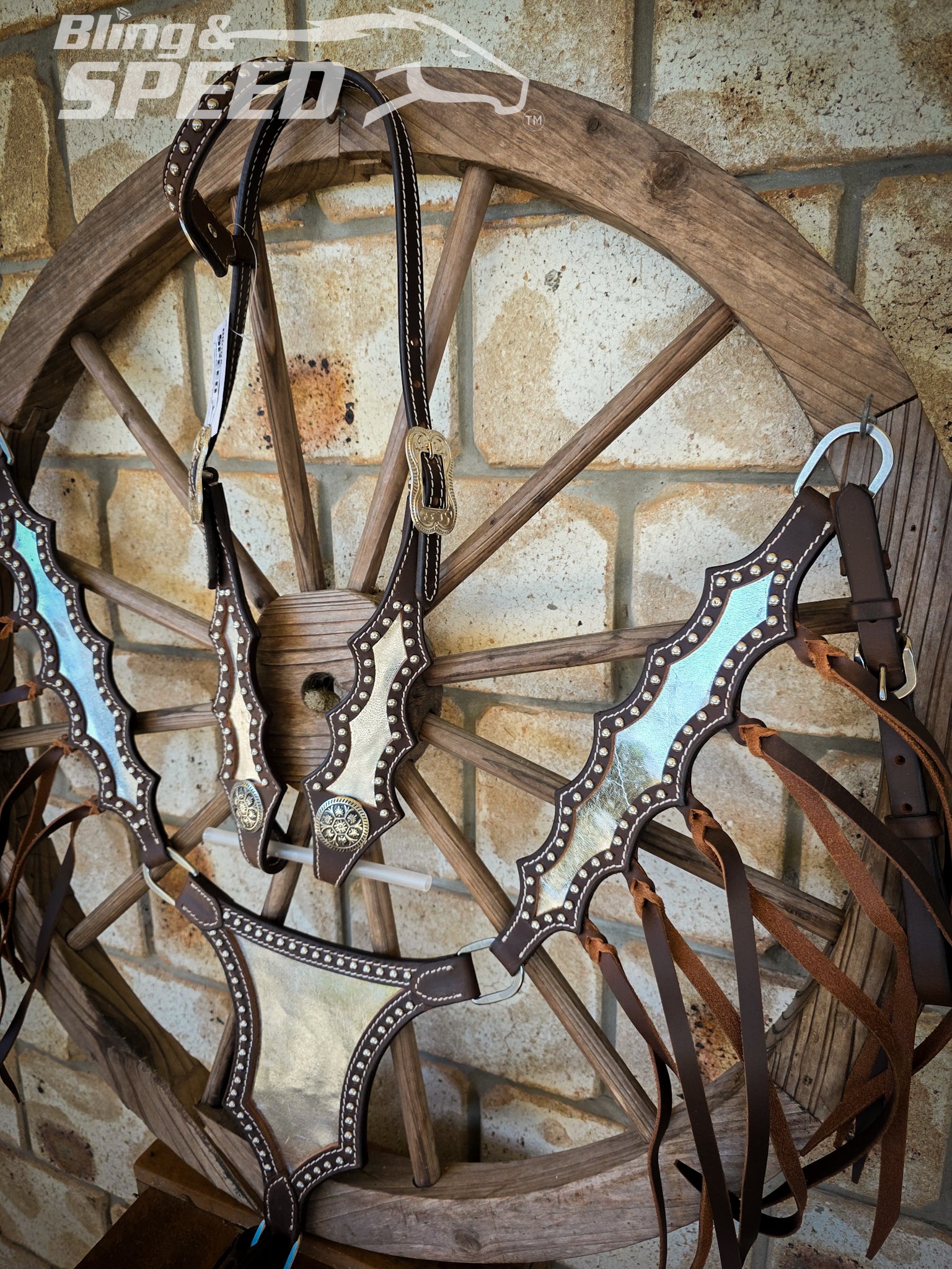 Metallic Silver Inlay Tack Set