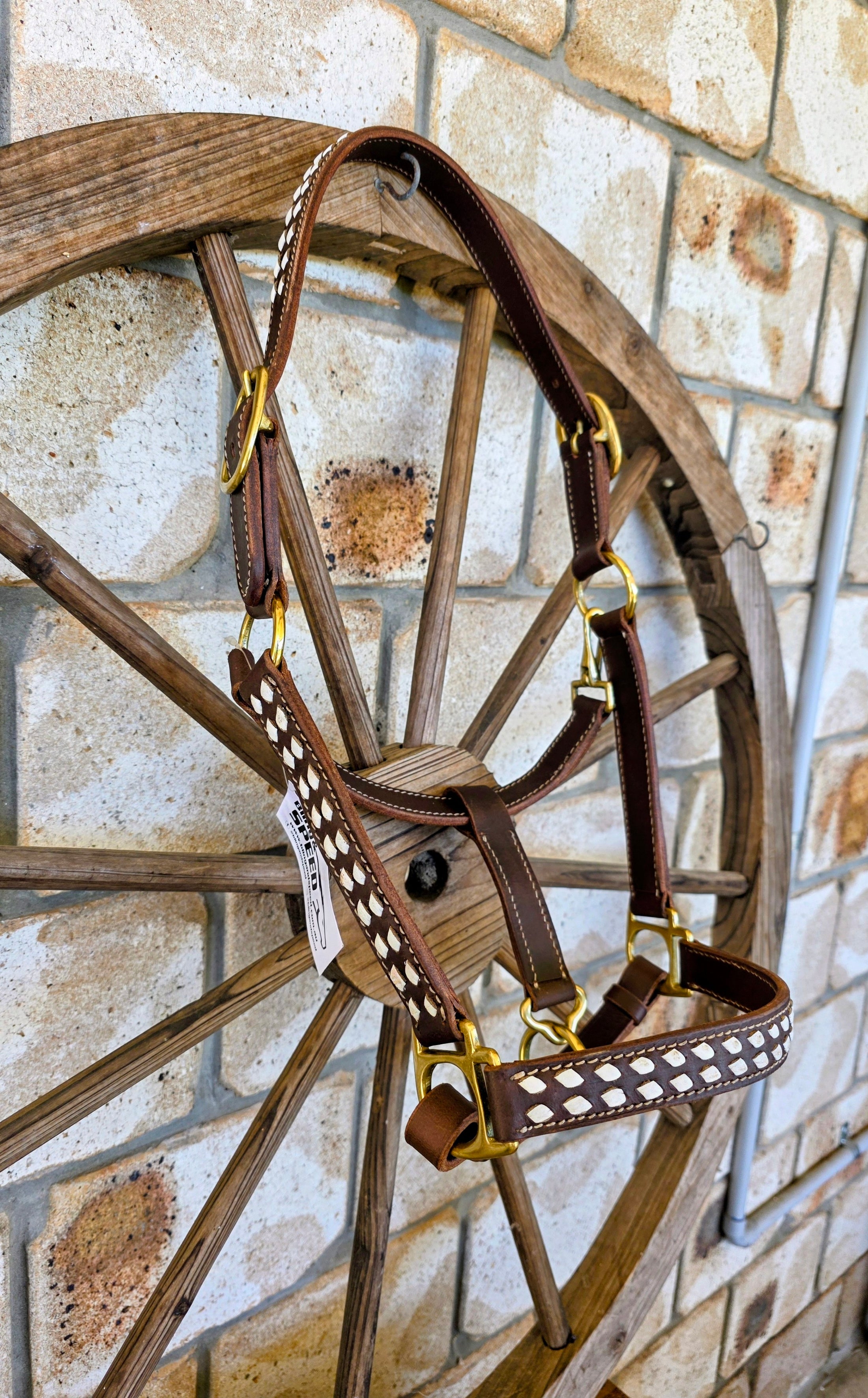 White Buckstitch Leather Halter