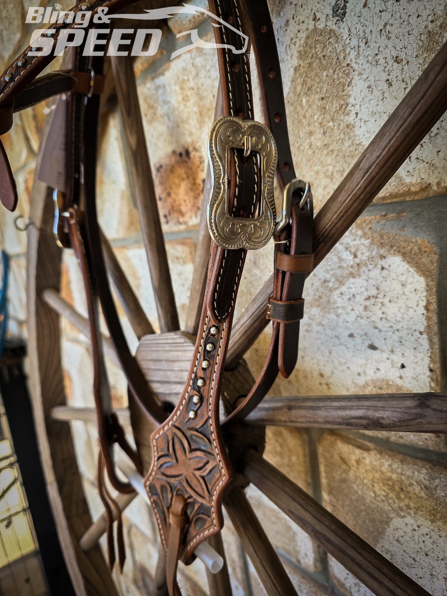 Futurity Knot Bridle with Silver Studs