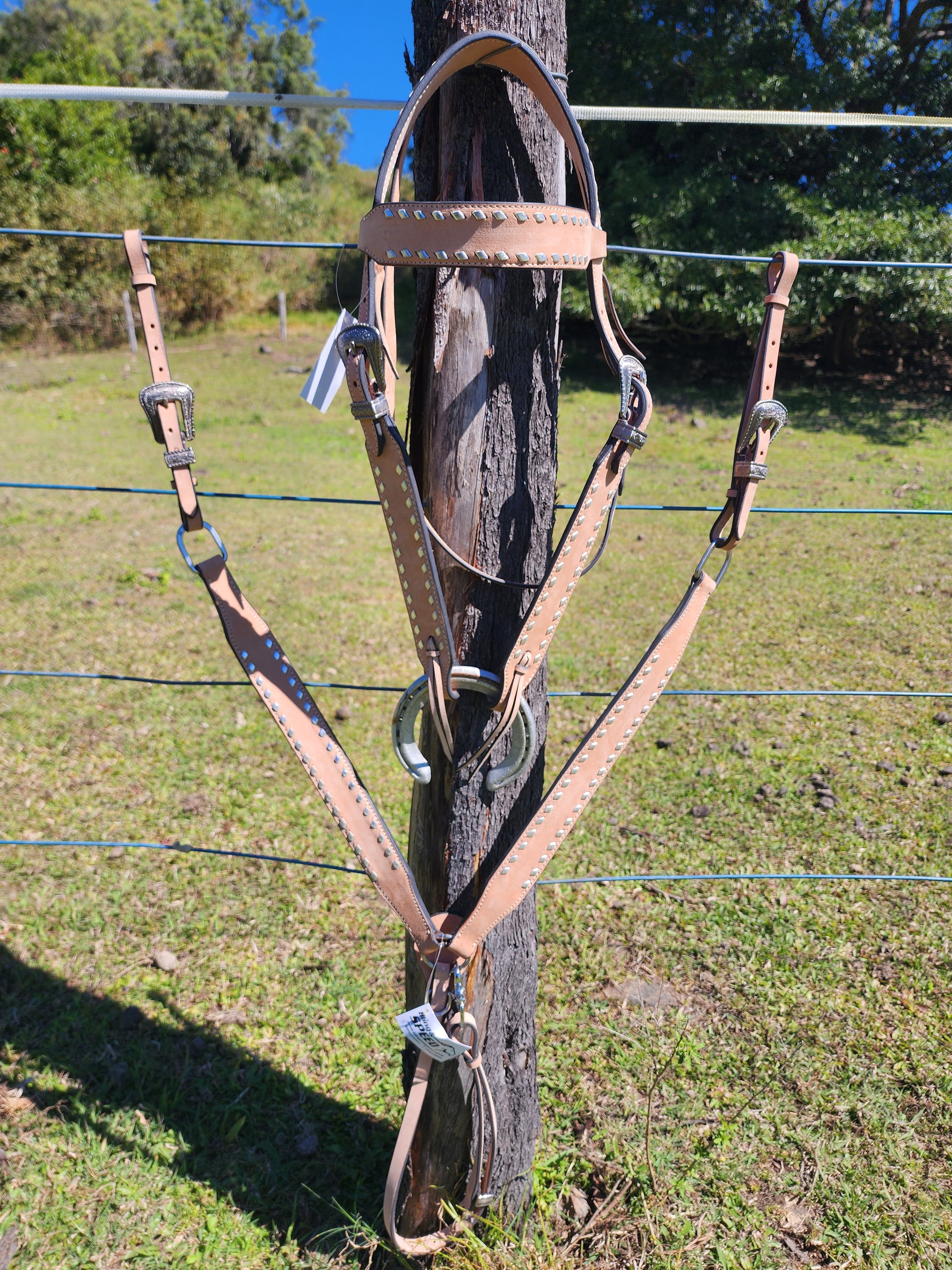 Trophy Tack Sets - Buckstitching