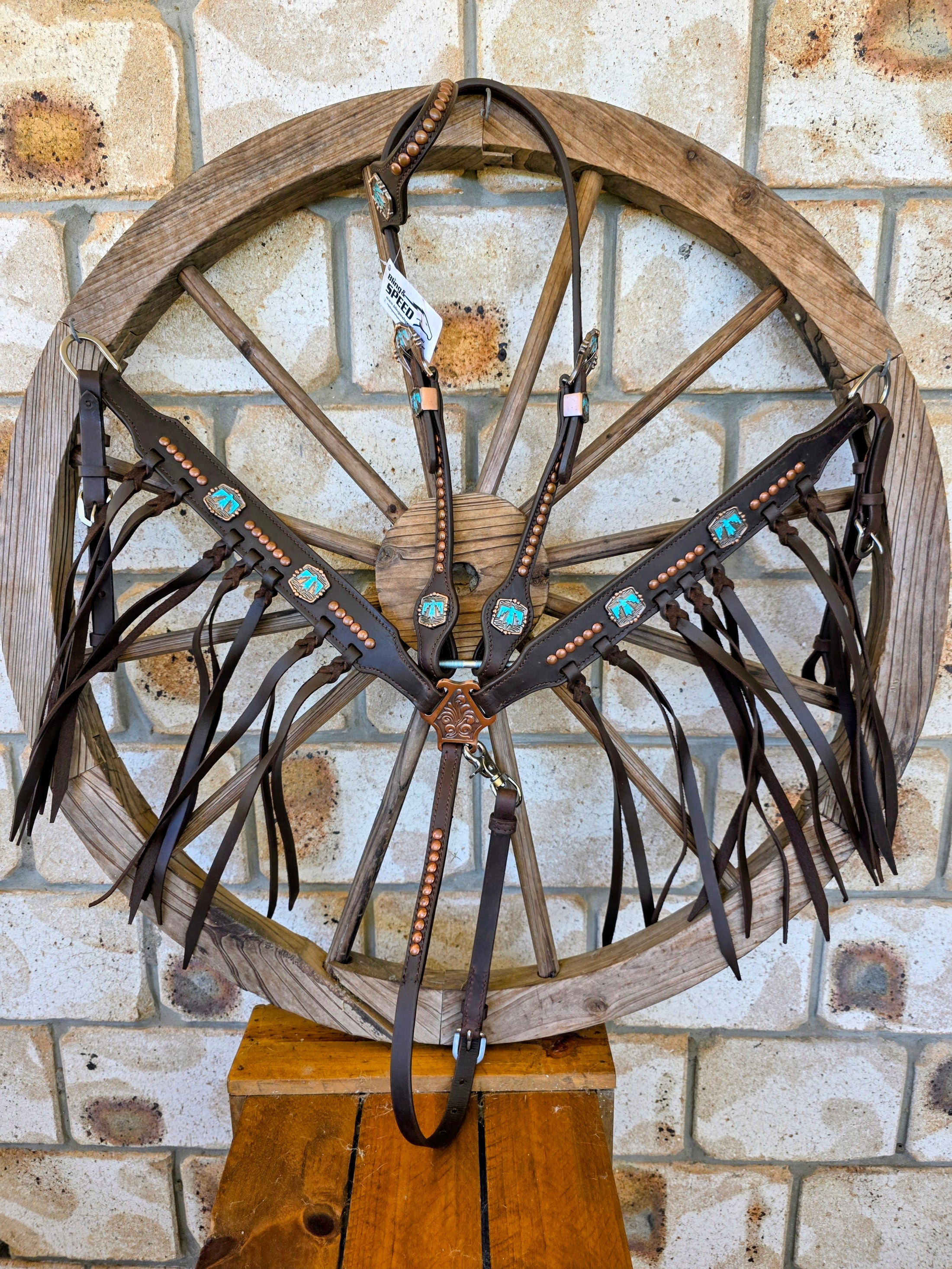 Thunderbird Fringe Tack Set - Turquoise