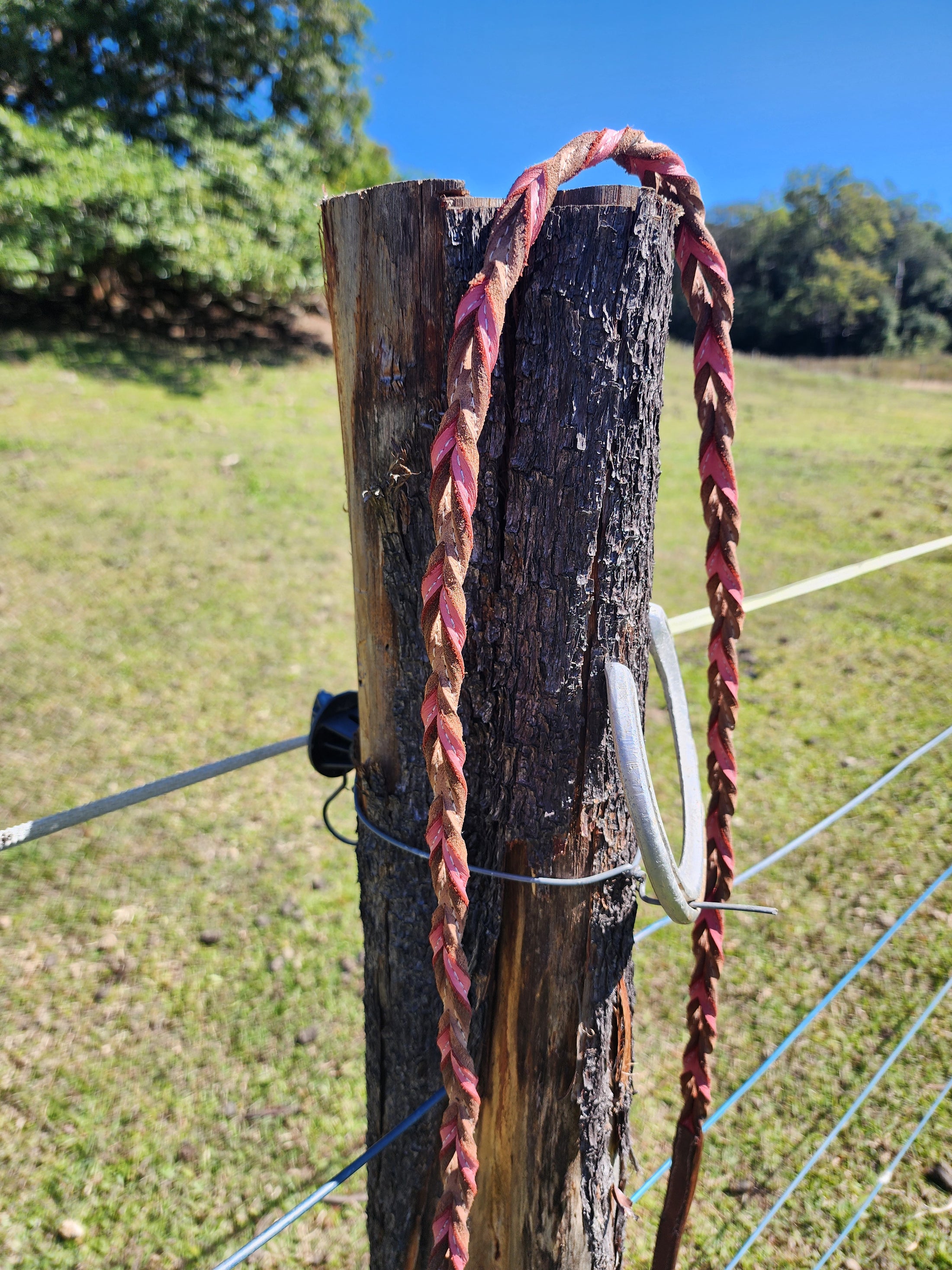 Twisted Bloodknot Barrel Reins - Pink