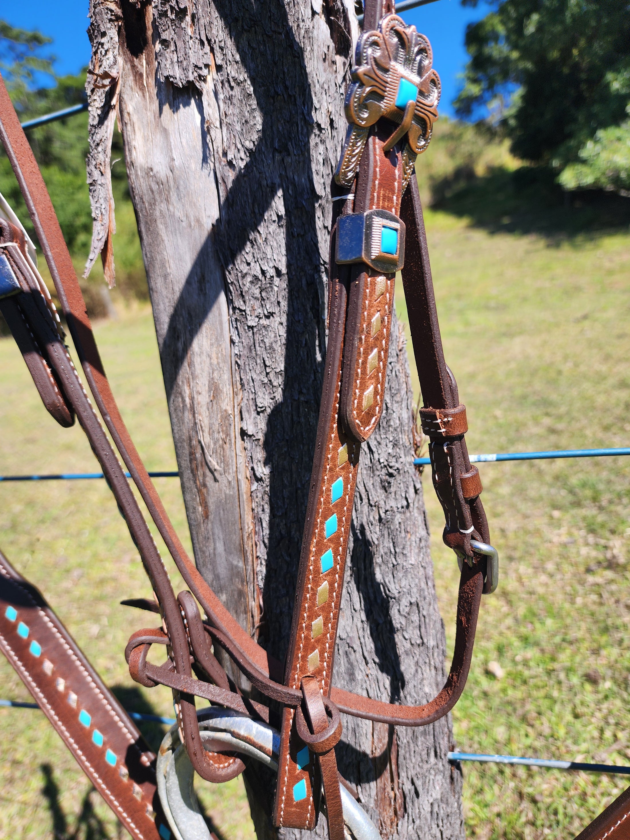 Harness Leather Bridle and Matching Breastcollar - Gold and Turquoise Buckstitching