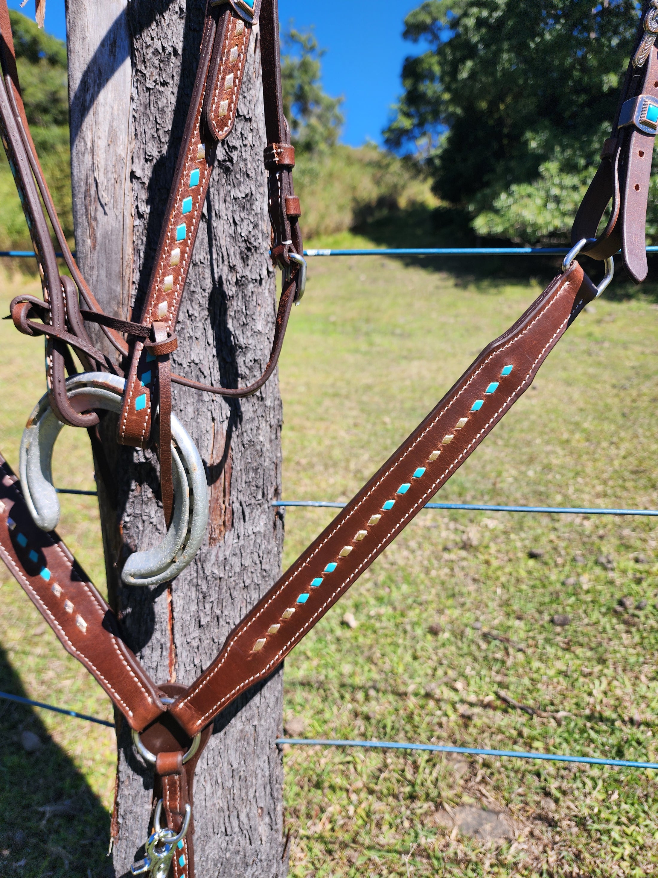 Harness Leather Bridle and Matching Breastcollar - Gold and Turquoise Buckstitching