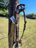 Load image into Gallery viewer, One Ear Plait Bridle with Turquoise Conchos
