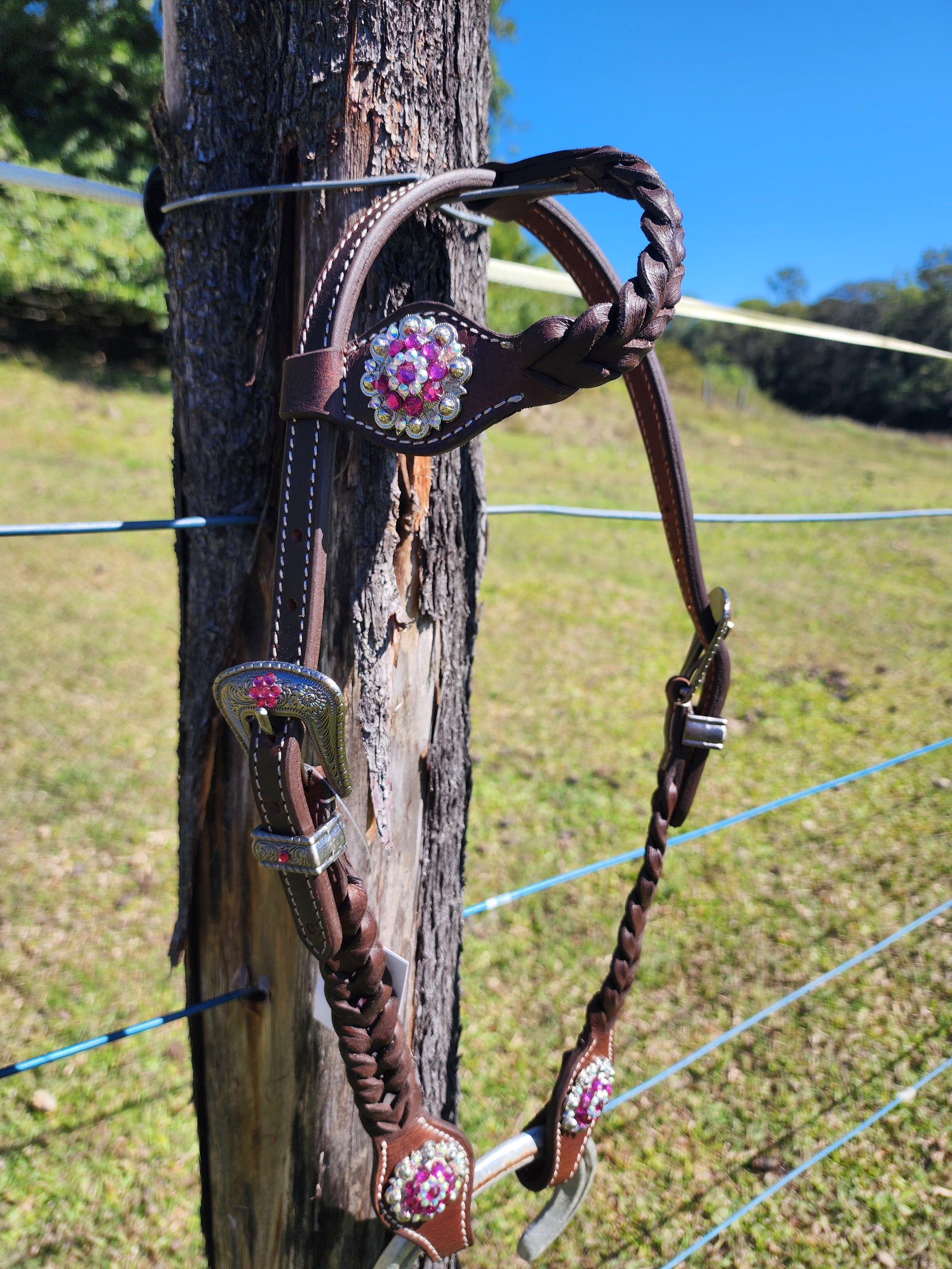 One Ear Plait Bridle with Pink Conchos