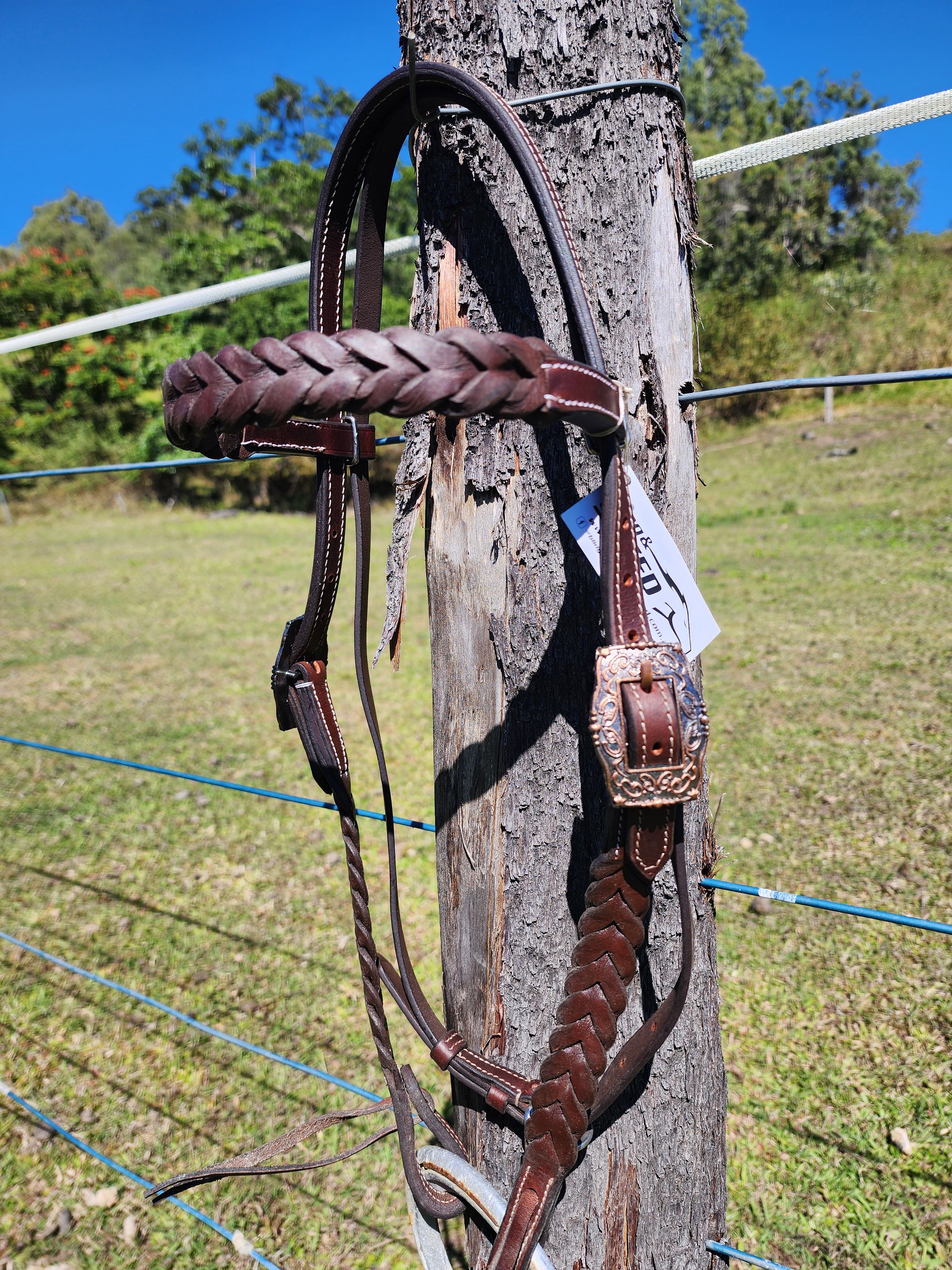 Bling & Speed Plait Bridle