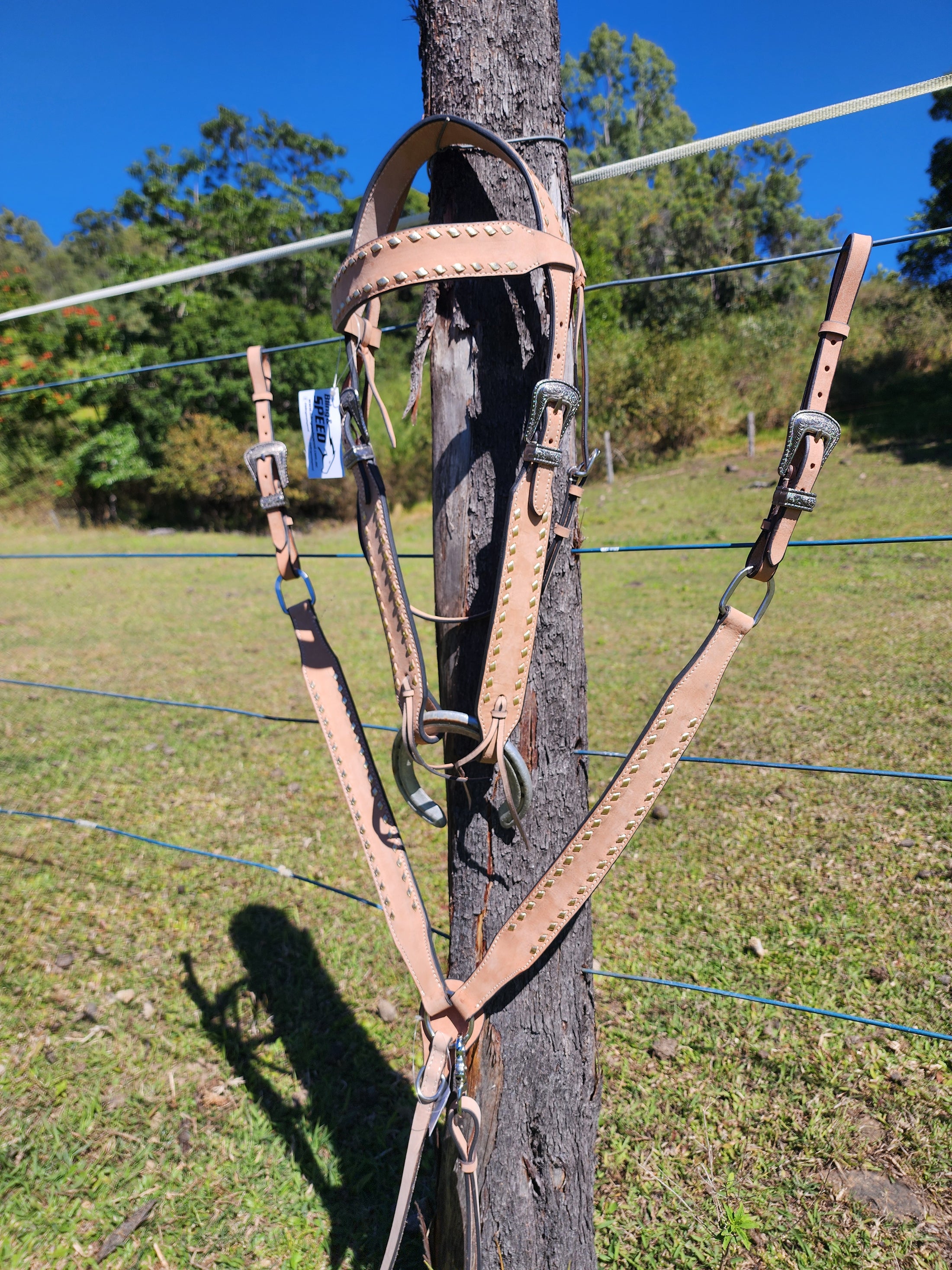 Trophy Tack Sets - Buckstitching