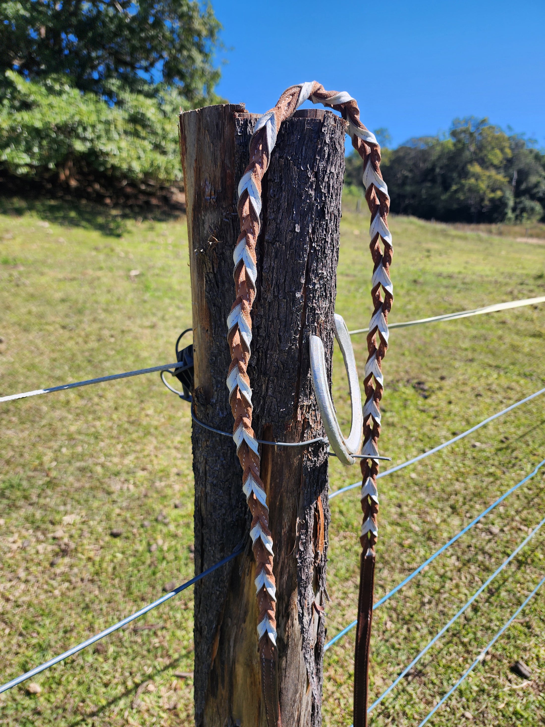 Twisted Bloodknot Barrel Reins - White