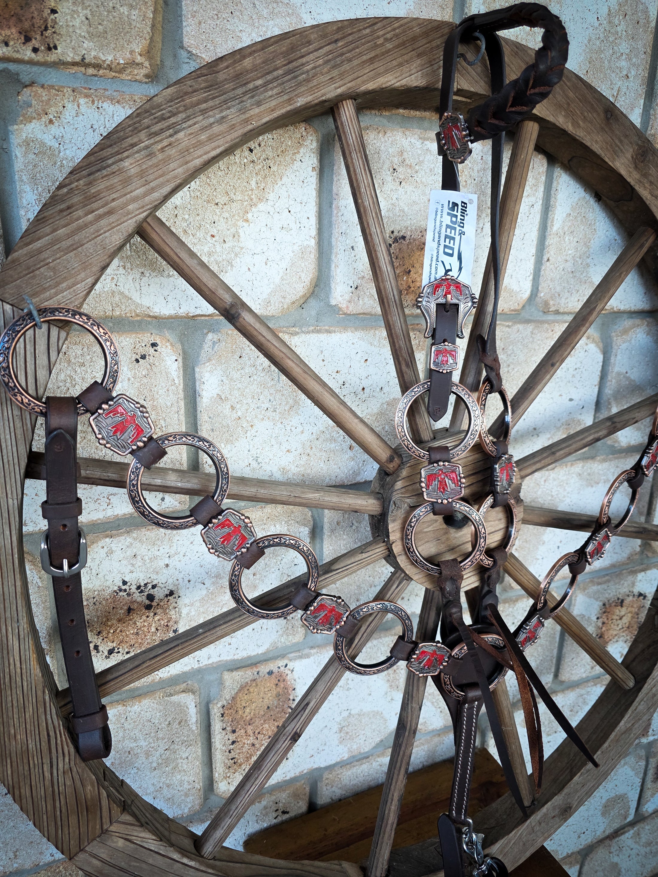 Red Thunderbird Ring Tack Set