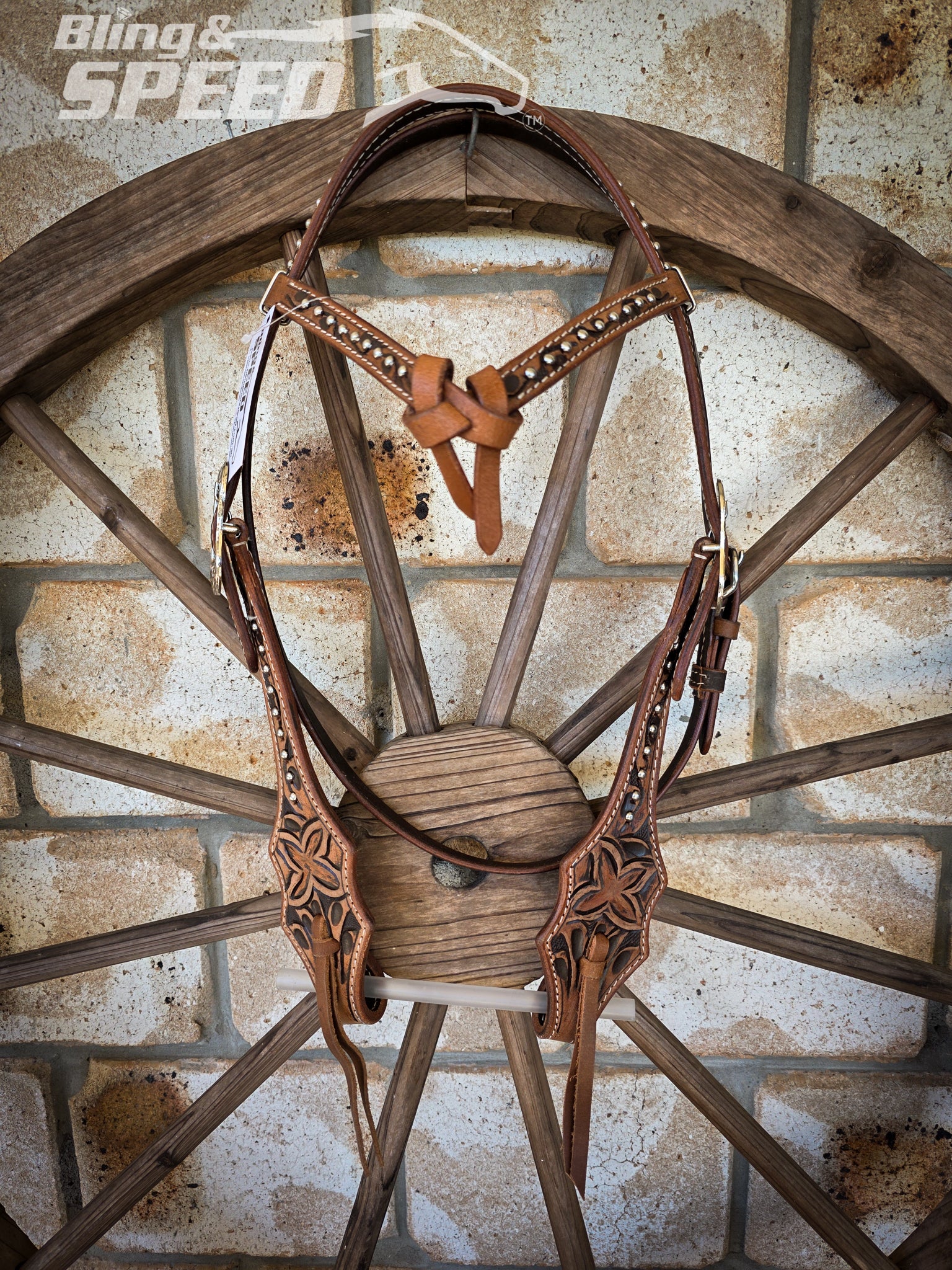 Futurity Knot Bridle with Silver Studs