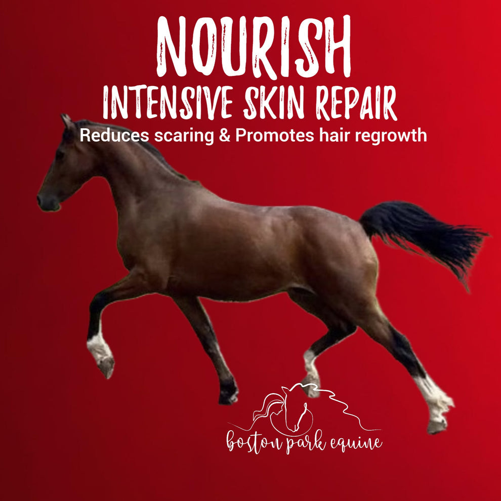 BPE Nourish