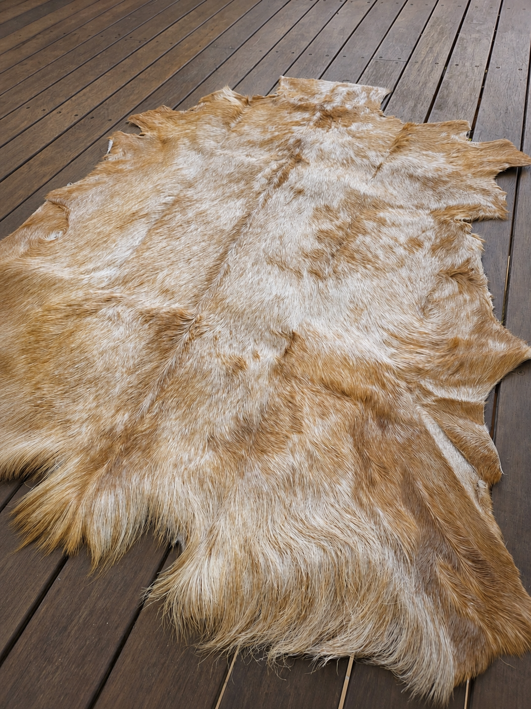 Genuine Natural Goat Hide - #21
