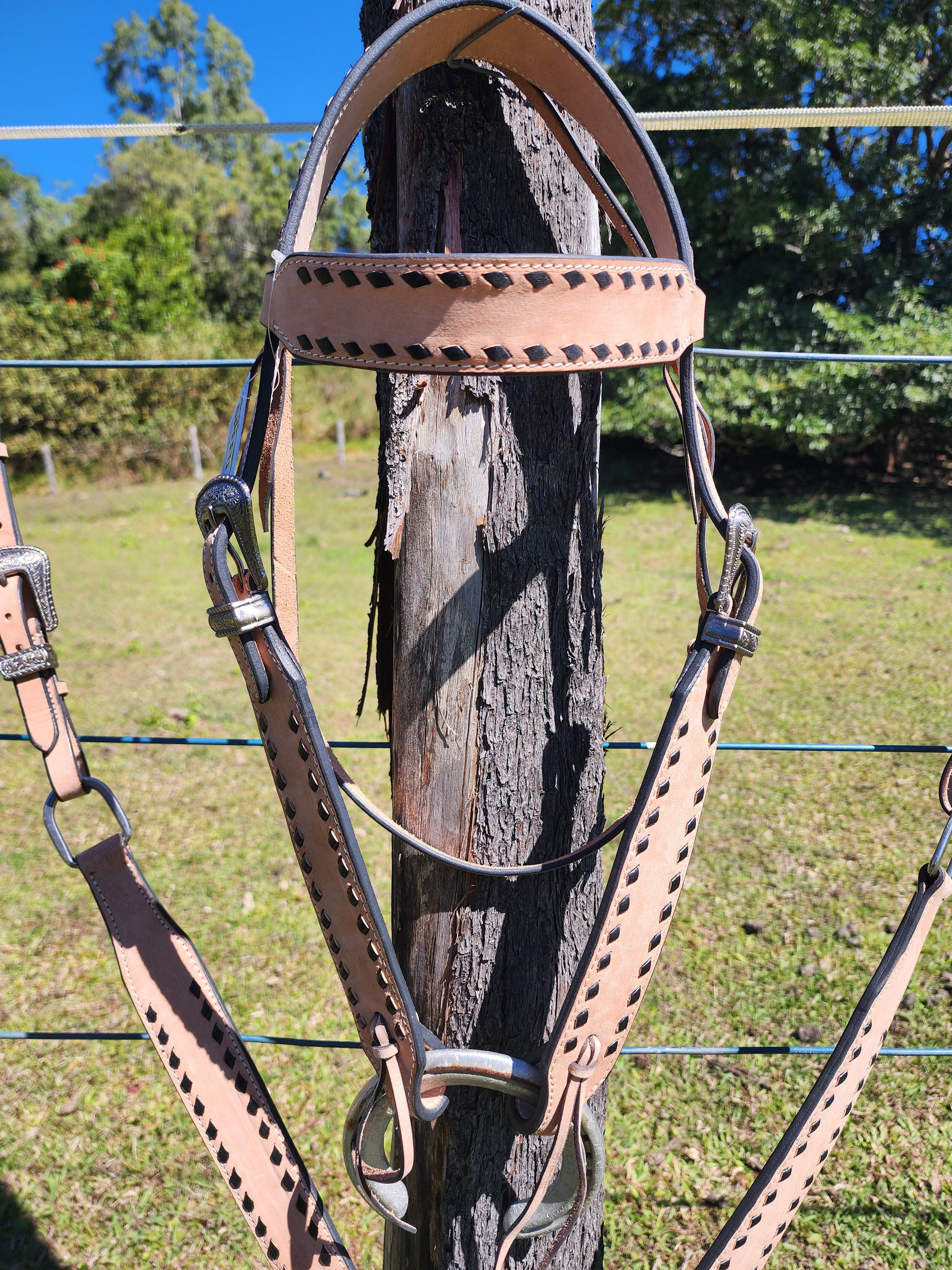 Trophy Tack Sets - Buckstitching