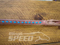 Load image into Gallery viewer, Bling & Speed Twisted Bloodknot Buckstitched Barrel Reins - Blue (7977756033262)
